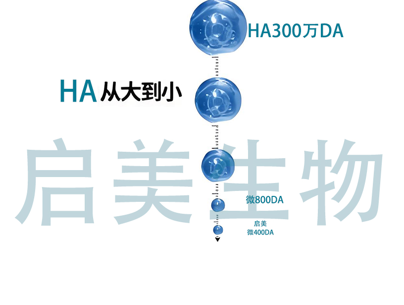 纳米级玻尿酸研发方向