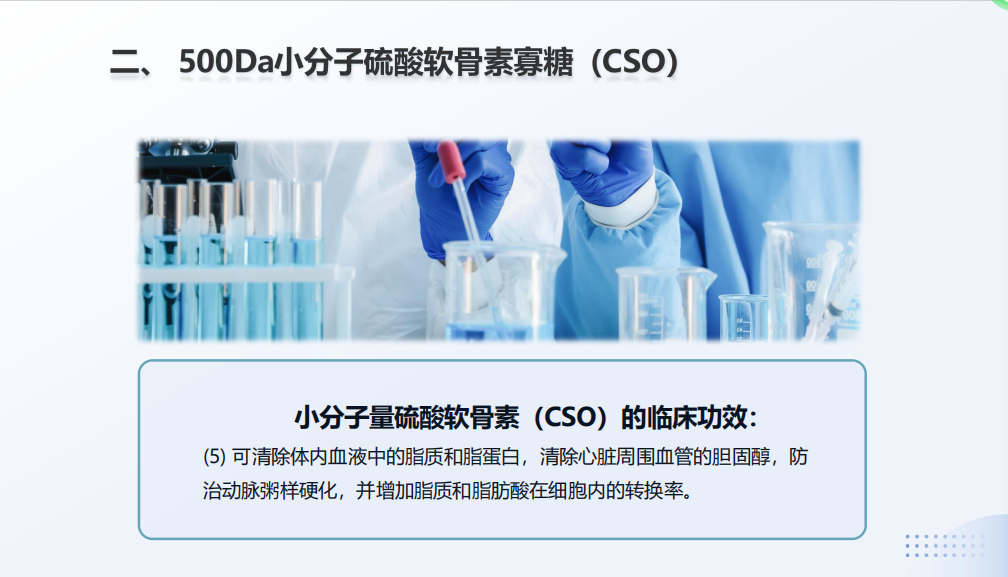 启美UΛZ500Da小分子硫酸软骨素寡糖（CSO）