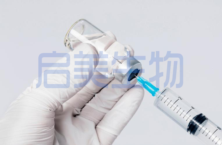 启美微400Da玻尿酸在化妆品配方中的特性与工艺优化分析